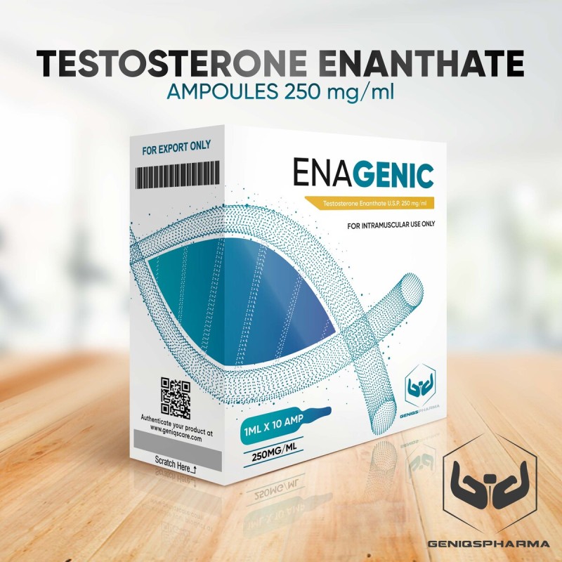 Buy original Genisq Pharma Enagenic (TESTOSTERONE ENANTHATE) 250mg/ml 10amps