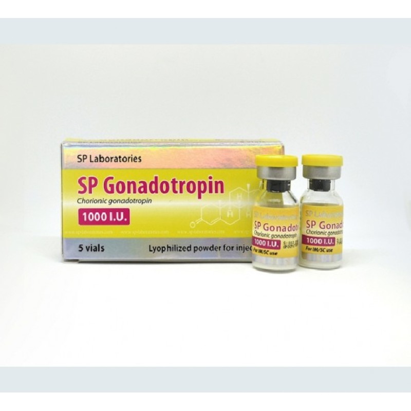 SP Laboratories HCG 1000iu 1 vial