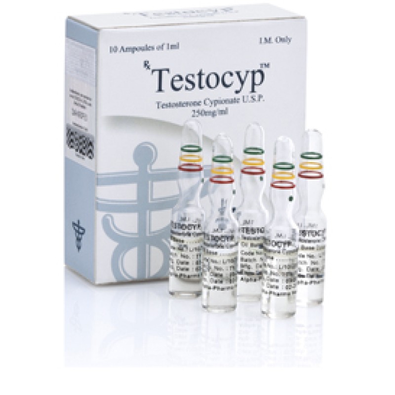 Buy Testocyp 10amps 250mg/ml